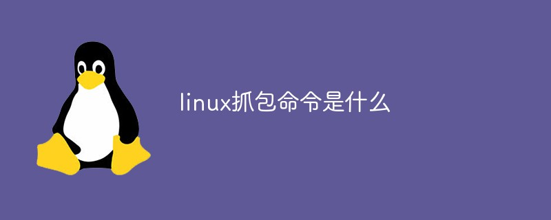 Linux 抓包命令tcpdump详解 - 拽熊博客